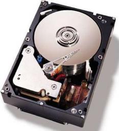 Dysk Lenovo 2TB 3.5" SATA III (81Y9794)