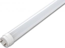 Forever Light Tuba LED T8, 60cm, mleczna (RTV002621)