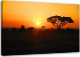  Feeby OBRAZ NA PŁÓTNIE Afryka Drzewo Zachód Słońca 90x60