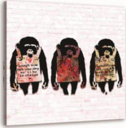  Feeby OBRAZ NA PŁÓTNIE Banksy Małpy Kolorowy 30x30