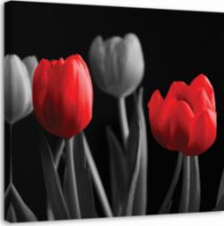  Feeby OBRAZ PŁÓTNO Kwiaty Tulipany Czerwony Szary 50x50