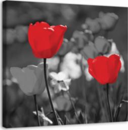  Feeby OBRAZ NA PŁÓTNIE Czerwone Tulipany Kwiaty 30x30