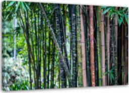  Feeby OBRAZ NA PŁÓTNIE Las Bambusowy Zielony 60x40