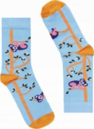  FAVES. Socks&Friends Śmieszne kolorowe skarpetki, KOALE dzieci 26-30