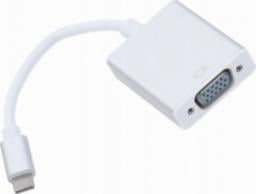 Adapter USB Pawonik USB-C - VGA Biały  (JL-CV01)