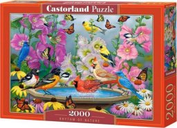  Castorland Puzzle 2000 Rhythm of Nature