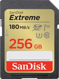 Karta SanDisk Extreme SDXC 256 GB Class 10 UHS-I/U3 V30 (SDSDXVV-256G-GNCIN)