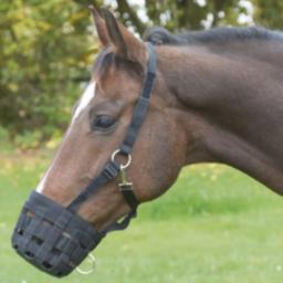 Covalliero Covalliero Kaganiec dla konia, rozmiar pony, czarny