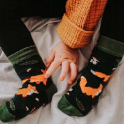  FAVES. Socks&Friends Śmieszne kolorowe skarpetki, LISY 36-41