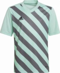  Adidas Koszulka dla dzieci adidas Entrada 22 Graphic Jersey miętowo-szara HF0127 : Rozmiar - 116cm