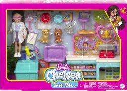 Lalka Barbie Barbie Chelsea Zestaw Weterynarz HGT12