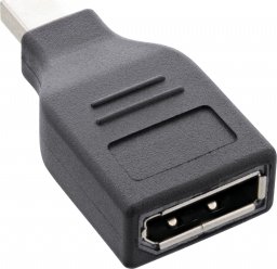 Adapter AV InLine DisplayPort Mini - DisplayPort czarny (17196B)