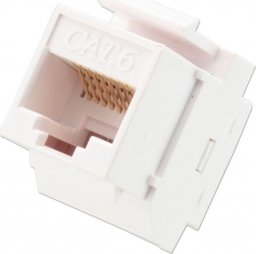 Lindy Lindy 60743 Gniazdo Keystone (łącznik modułowy) CAT6 RJ45, biały