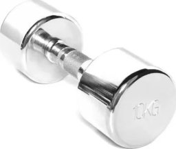 SKO Chromed dumbbell TOORX MC-10 10kg