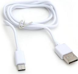 Kabel USB Platinet USB-A - USB-C 1 m Biały (PUCTC1W)