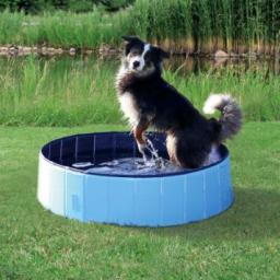  Trixie Basen dla psa, 160 x 30 cm, jasnoniebieski