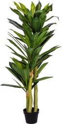 Plantasia PLANTASIA Dracaena sztuczne drzewo 120 cm, 81 liści