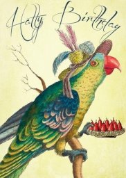  Madame Treacle Karnet B6 z kopertą Urodziny Papuga