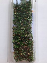  MiniNatur MiniNatur: Wczesnojesienne liście i gałęzie buku (15x4 cm)