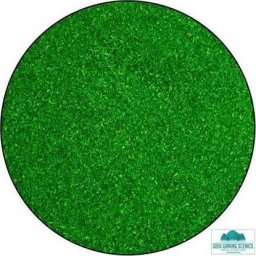  GeekGaming GeekGaming: Saw Dust Scatter - Mid Green (50 g)