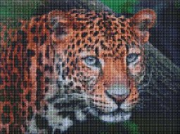  Ideyka Diamentowa mozaika - Dziki wygląd 30x40cm