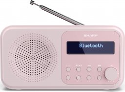 Radio Sharp DR-P420(PK)