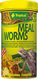  Tropical MEAL WORMS 250ml PUSZKA
