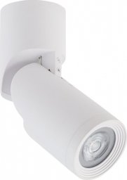 Lampa sufitowa Nowodvorski Oprawa sufitowa spot oczko LED Nowodvorski MIKE 7660 aluminium, biały