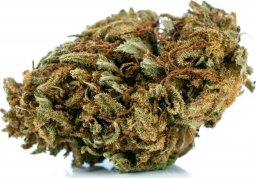  Exclusive Weed Susz konopny Jack Herer CBD 1g