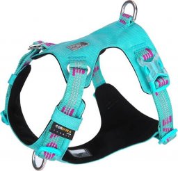 Truelove Szelki guard dla psa Truelove Adventure Dog błękitny XS