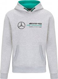  Mercedes AMG Petronas F1 Team Bluza męska z kapturem Logo Grey Mercedes AMG F1 2022 XL