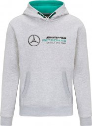 Mercedes AMG Petronas F1 Team Bluza męska z kapturem Logo Grey Mercedes AMG F1 2022 XXL