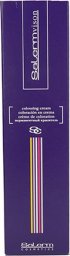 Salerm Trwała Koloryzacja Salermvison Salerm FC3 (75 ml)
