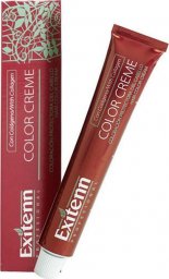 Exitenn Trwała Koloryzacja Color Creme Exitenn N 7,1 Medium Ash Blonde (60 ml)