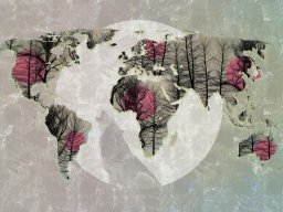  DecoNest Fototapeta - Map of the World - Howling to the moon - 300X231