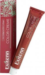 Exitenn Trwała Koloryzacja Color Creme Exitenn N 673 Cinnamon Dark Blonde (60 ml)