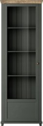 Helvetia Witryna odcienie zieleni mat 200 x 71 x 42 cm EVORA