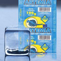 Katrinex 100g MROŻONA ARTEMIA