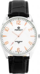 Zegarek ZEGAREK MĘSKI PERFECT C141 - RAVE (zp104h)