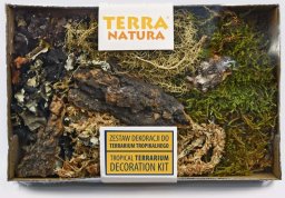 Terra Natura Zestaw dekoracji do terrarium tropikalnego