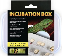 Exo Terra Box Inkubacyjny, 16,5 x 11 x 5cm