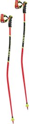 Leki LE KIJ WCR TBS GS 3D 115