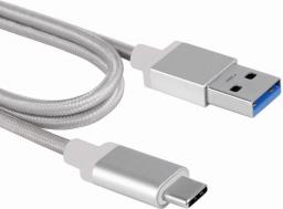 Kabel USB MicroConnect USB-A - USB-C 2 m Srebrny (USB3.1CA2S)