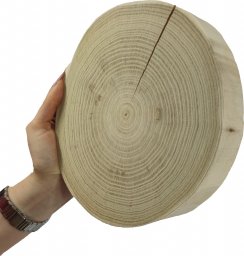  Wamar-Sosenka Okorowany Plaster Akacji 15-20 cm gr. 3,5 cm Szlifowany Drewno akacjowe Naturalny Surowy