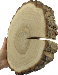  Wamar-Sosenka Plaster Dębu 20-25 cm gr. 3 cm Szlifowany z Korą Drewno dębowe Naturalny Surowy