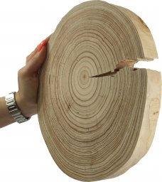  Wamar-Sosenka Okorowany Plaster Modrzewia 25-30 cm gr. 3 cm Szlifowany Drewno modrzewiowe Naturalny Surowy