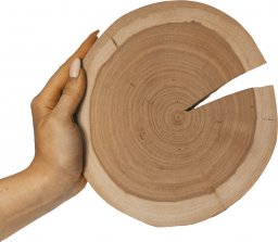  Wamar-Sosenka Okorowany Plaster Czeremchy 15-20 cm gr. 3 cm Szlifowany Drewno czeremchowe Naturalny Surowy