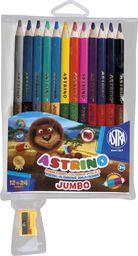  Astra Kredki oĹ‚Ăłwkowe dwustronne 24 kolory Astrino Jumbo 