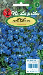  Legutko Nasiona Lobelia przylądkowa, Stroiczka niebieska