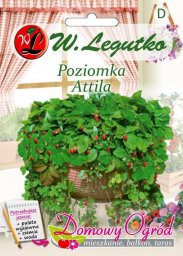  Legutko Nasiona Poziomka Attila, 0,1g